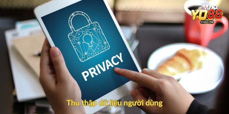 Thu thập dữ liệu người dùng